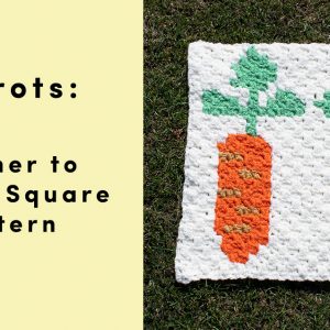 carrots corner to corner square