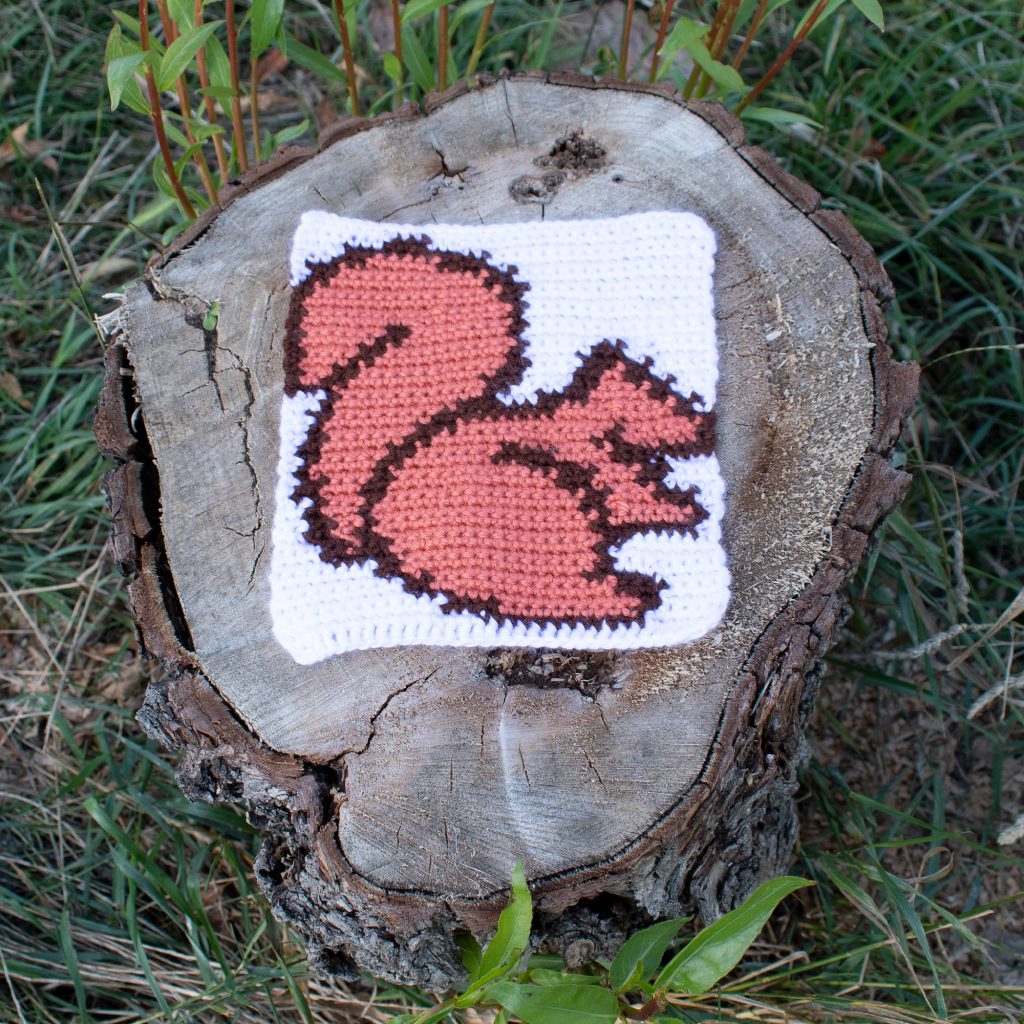 cute tapestry crochet square of a squirrel