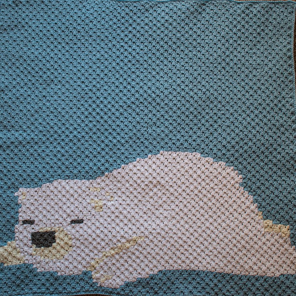 The polar bear makes this one a great baby blanket! 